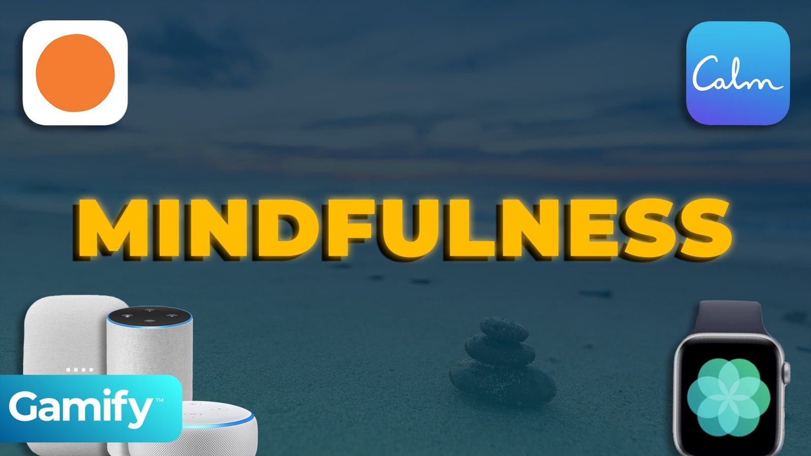 Gamification and Mindfulness